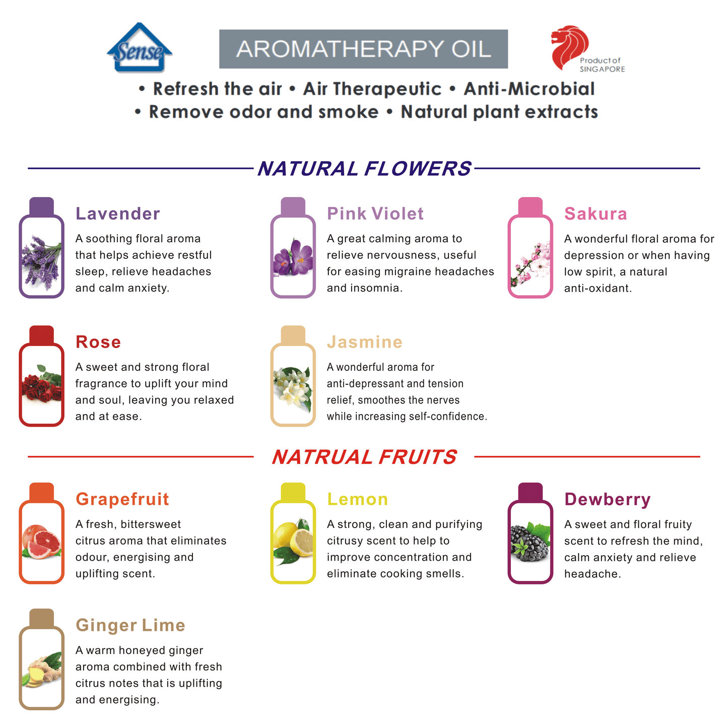 125ml Water Based Essential Oil - The Sense House