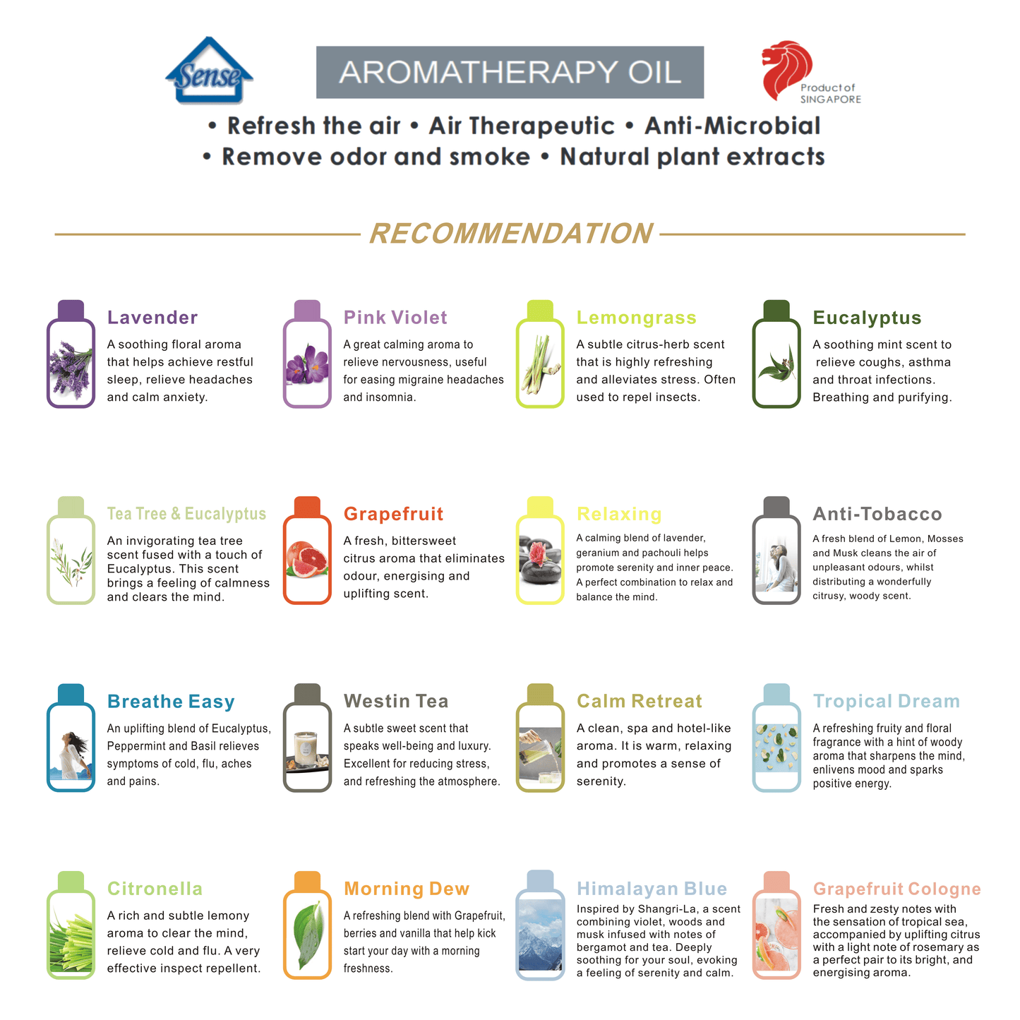 250ml Water Based Essential Oil - The Sense House