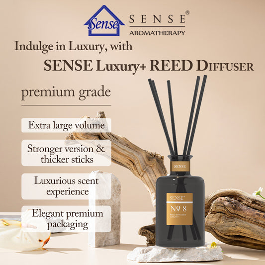 Bundle Deal Premium Reed Diffuser LR240 ( 2+1 ) - The Sense House