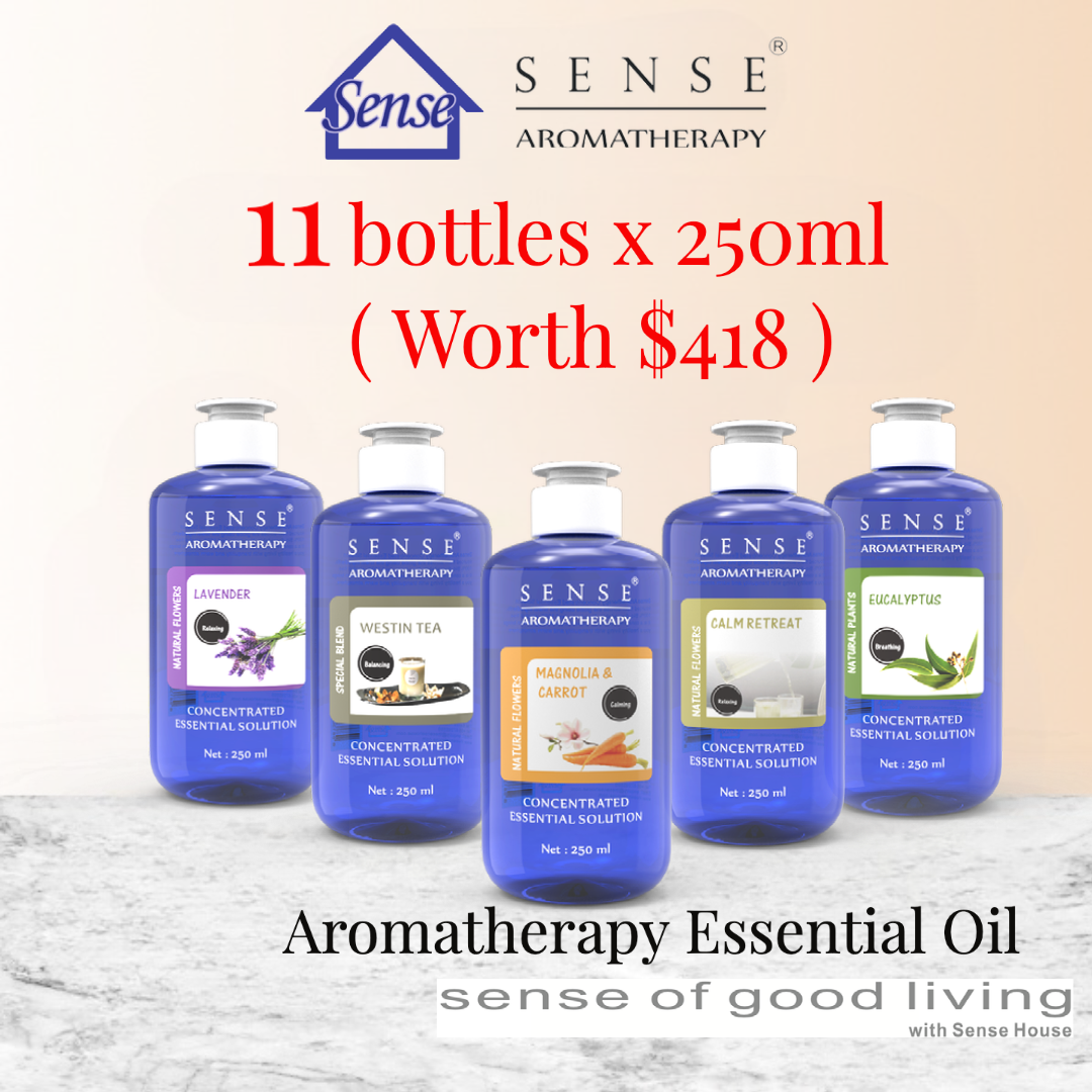 Buy 8 get 3 FREE Water Based Essential Oil 250ml - The Sense House