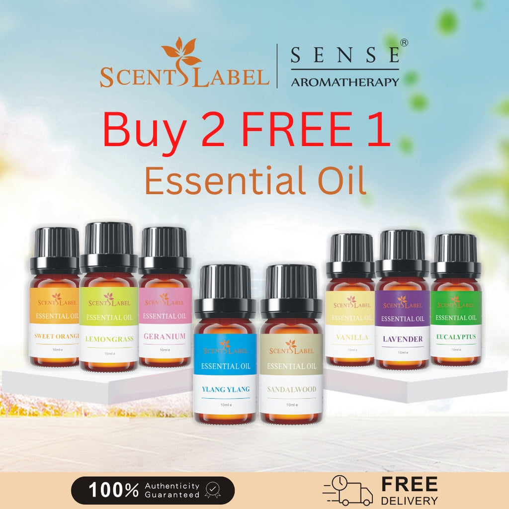 Aroma essential oil deals store