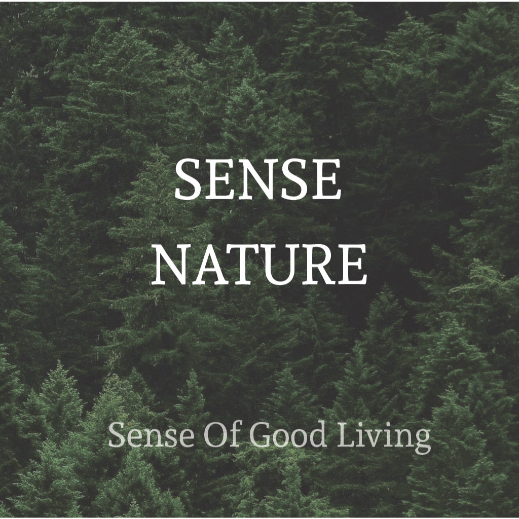 Bundle Deal Premium Reed Diffuser LR240 ( 2+1 ) - The Sense House 