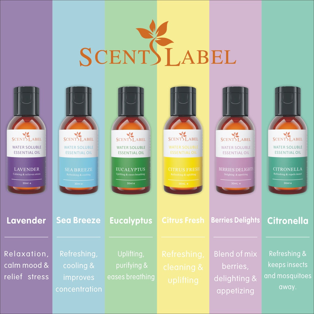 250ml Water Soluble Essential Oil | ScentsLabel - The Sense House 