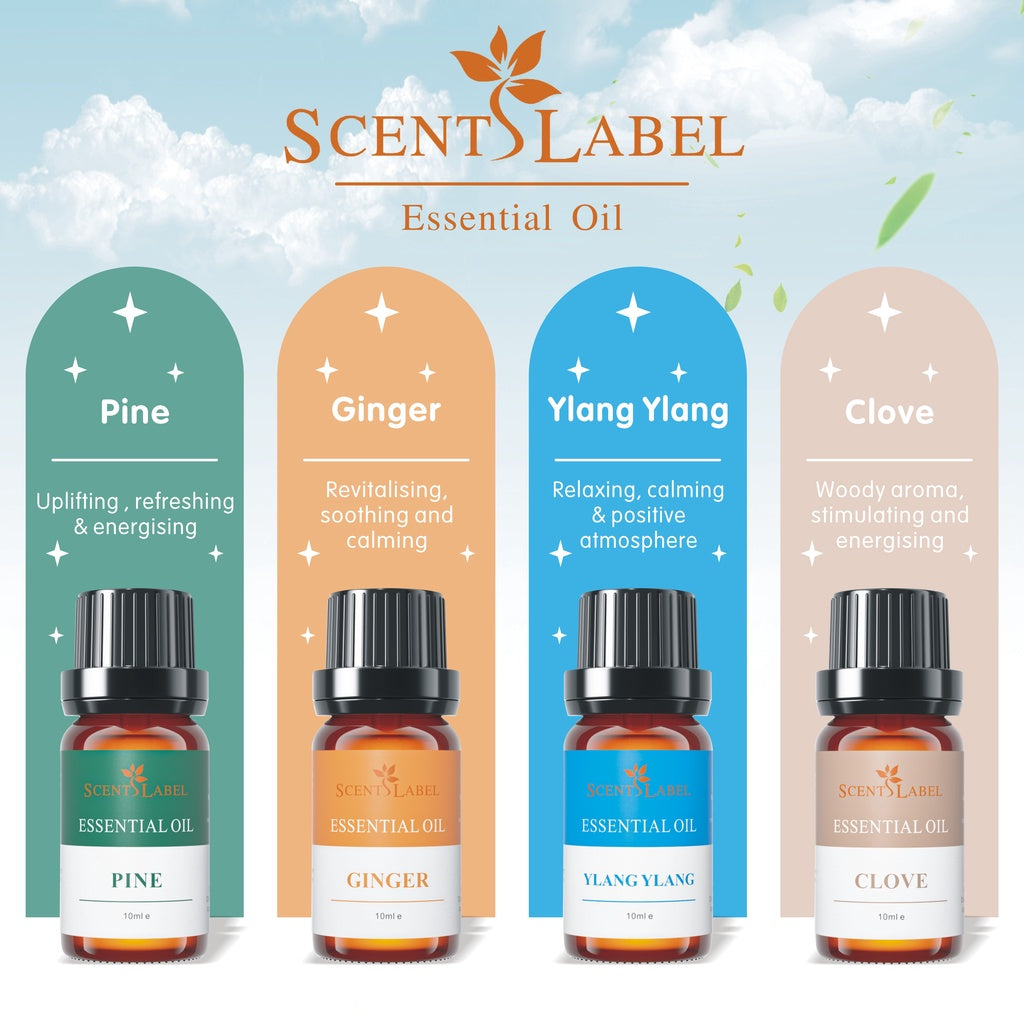 [NEW] 10ml Aroma Essential Oil | Diffuser | Humidifier | Nebuliser - The Sense House 