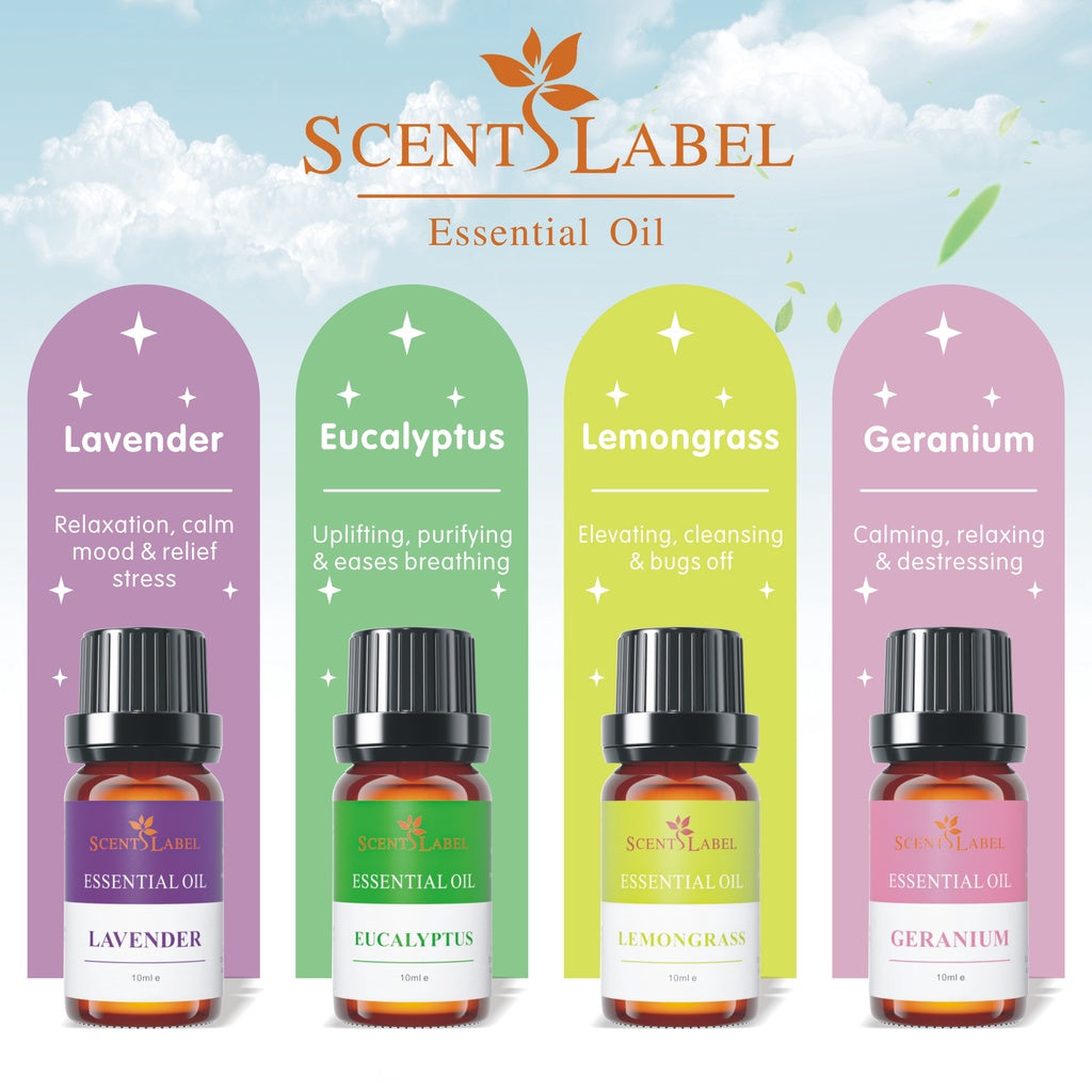 [NEW] 10ml Aroma Essential Oil | Diffuser | Humidifier | Nebuliser - The Sense House 